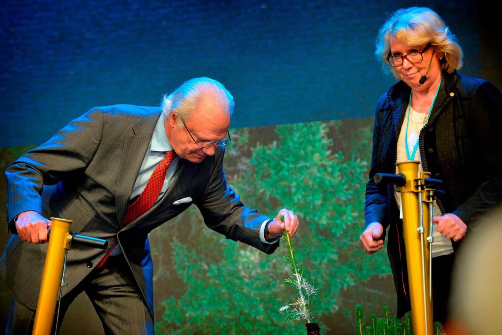 Södras invigning av världens modernaste massabruk